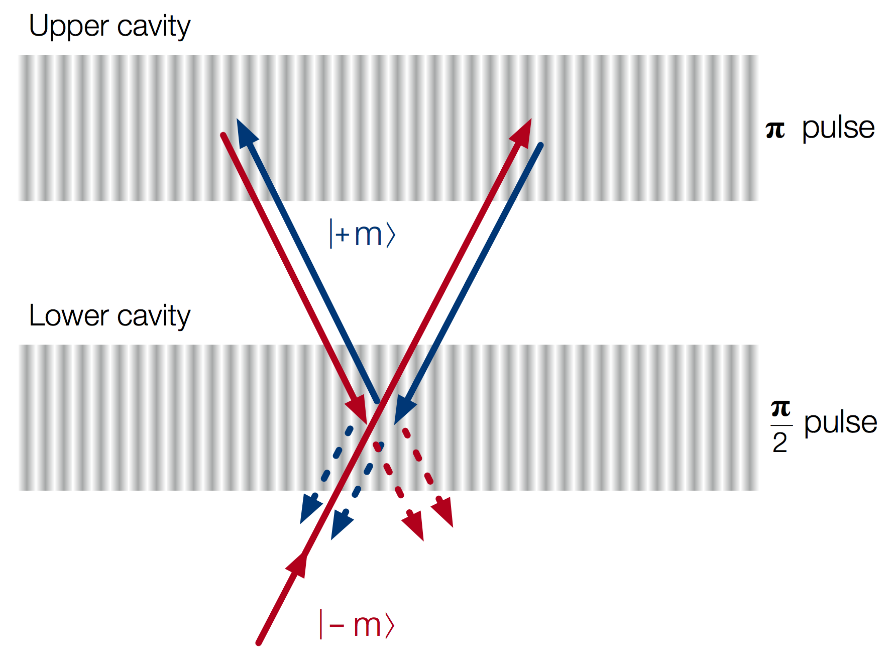 Probability distributions for the fraction of binary black holes from four different formation channels, inferred using measurements of the black hole spin orientations Improvement in measurements with number of detections